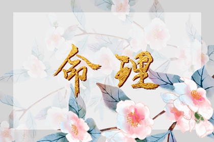 最准老黄历农历2025 带农历与黄历的万年历 万年历农历查询